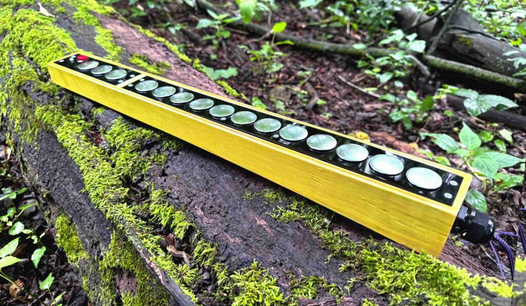 Picture of the Zeh Harp on a mossy log