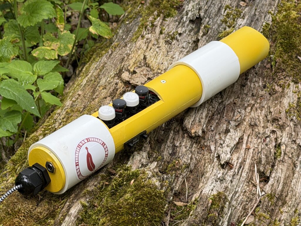Dangerous Banana